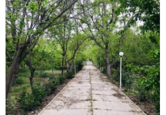 زمین ۳۱۵ متری شیک و استخر دار سه قطعه زمین به متراژ های 315 متر قطعه