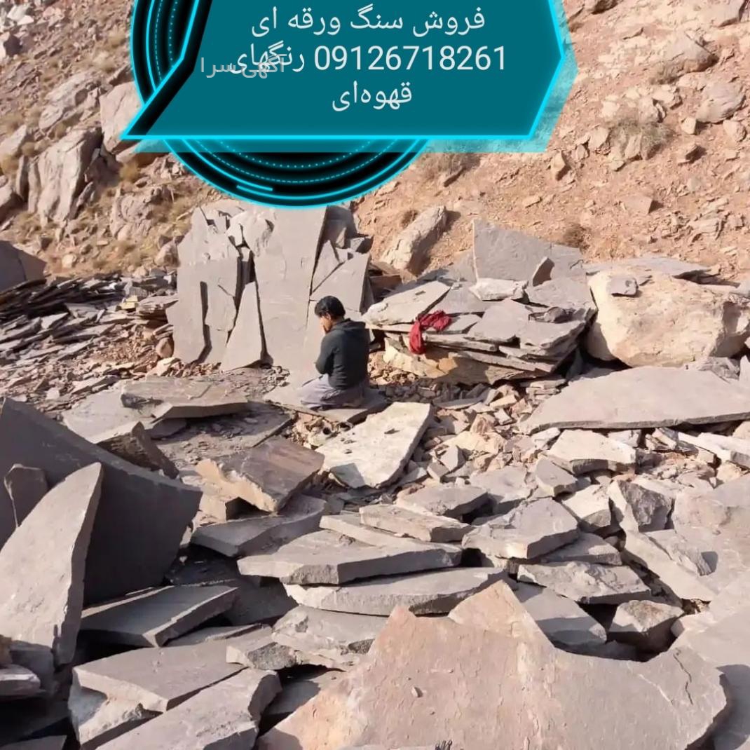 تولید وپخش پوشاک زنانه رویال