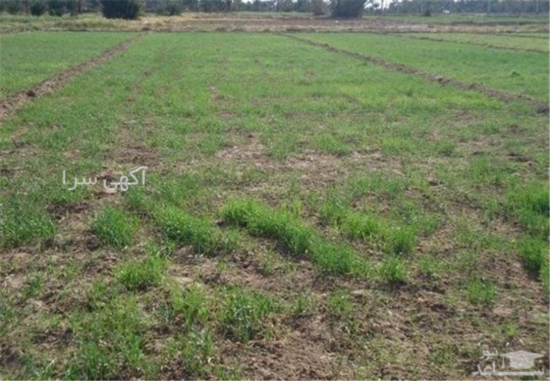 آگهی های خدمات ساختمانی - زیرآب