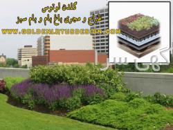 باربیکیو دیجی کالا