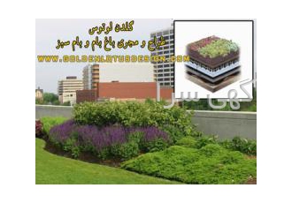 روف گاردن بام سبز باغ بامRoof Garden گلدن لوتوس اولین و باتجربه