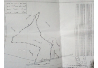 فروش زمین در مناطق شمال با بهترین قیمت زمین مسکونی و باغی باقیمت مناسب