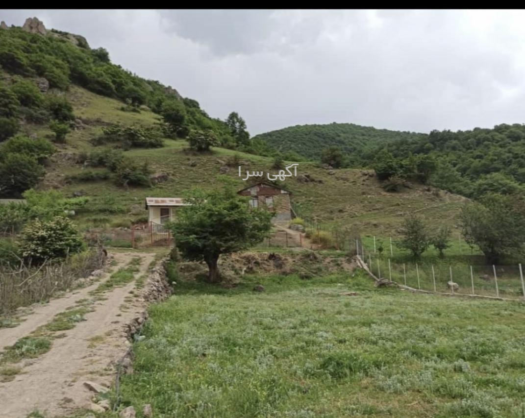 باربری غفاری نیا تالش