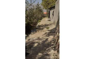 زمین ییلاقی