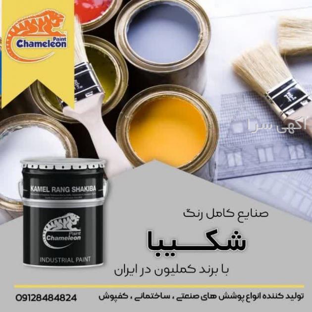 پرایمر دیجی کالا