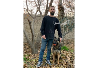 آموزش تخصصی سگ در محل ، مربی تربیت سگ در محل