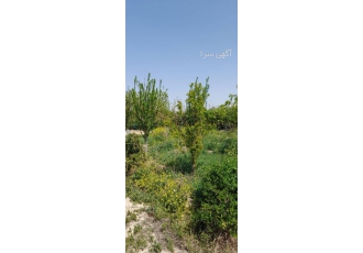 باغ/۵۰۰متر/فروش/تهران/کاشانک