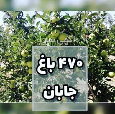 بهترین سایت های آگهی املاک