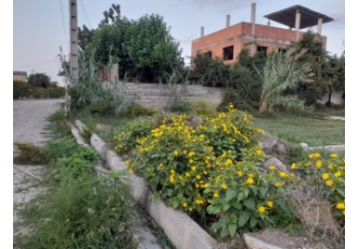 زمین مسکونی خطیرکلا زمین مسکونی 170 متری در خطیرکلا پلاک بندی شده آب