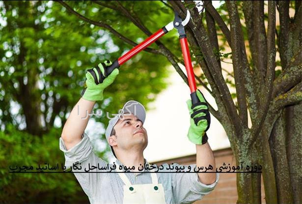 آگهی های کشاورزی و دامداری - نور