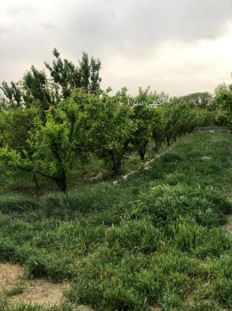 آگهی سرایداری در تهران