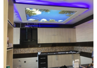 مدرن زندگی کن..سقف لابل