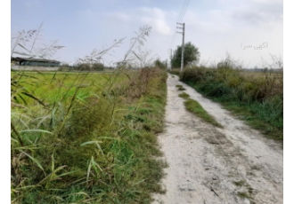 زمین ۲۰۰۰ متری