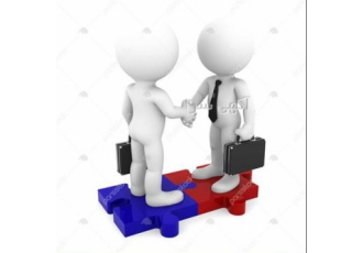 آموزش سگ ، مربی سگ ، تربیت سگ ، آموزش توله سگ