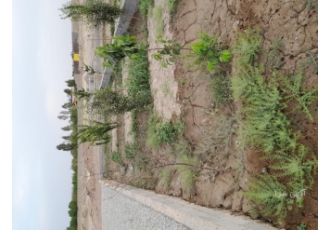 باغچه ۴۰۰ متری باغچه 400 متری دارای سند مادر سهمیه آب استخر و محوطه