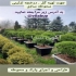 اجرای محوطه سازی و فضای سبز طراحی فضای سبز در هچیرود طراحی و اجرای
