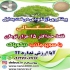 نگران درختان خود نباشید سوپر جاذب دبکوپاک در ساوه دیگر نگران کم آبی