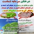 نگران درختان خود نباشید سوپر جاذب دبکوپاک در ساوه دیگر نگران کم آبی