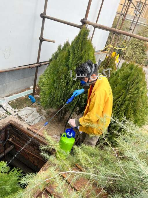 سم سوسک کابینت دیجی کالا