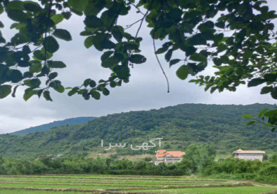 فروش شهرک بکجا در عظیمیه تنکابن یک شهرک کامل با ۱۲ قطعه جمعا بیش