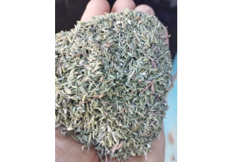 فروش عمده آویشن باغی برگ خالص فروش عمده آویشن برگ خالص و سرشاخه بیش