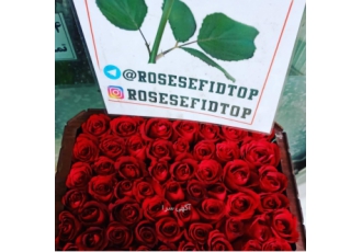 گل آرایی و گلفروشی آنلاین گل فروشی آنلاین رز سفید ارائه دهنده خدمات
