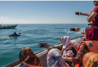 تور هوایی قشم با گشت شهری و ترانسفر تور های سه شب چهار شب قشم با پرواز