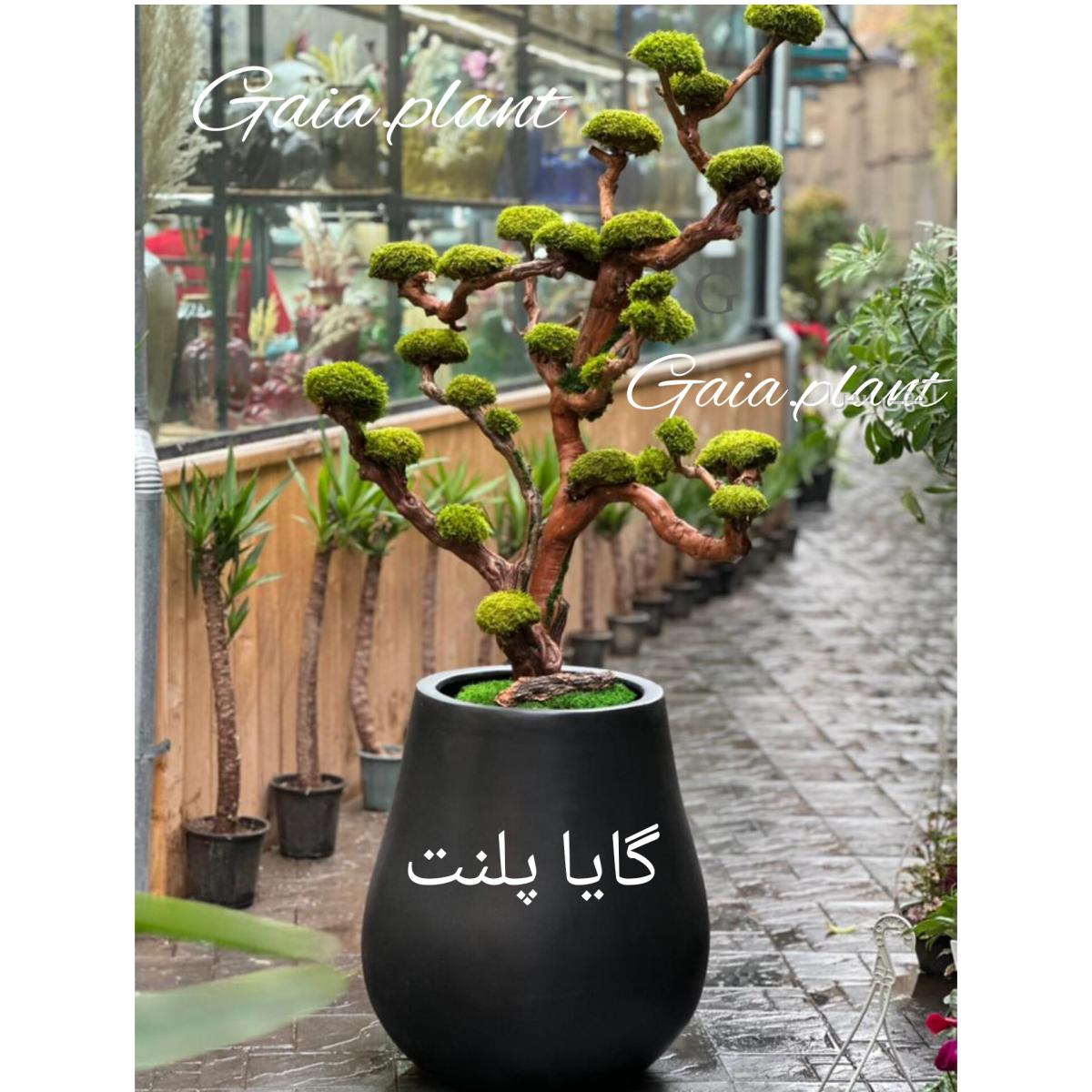 آگهی های انجام پیمانکاری