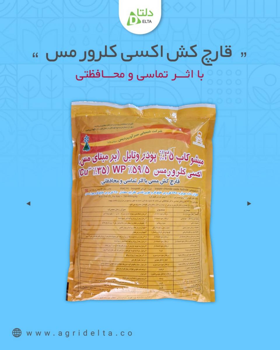 تولیدی قارچ