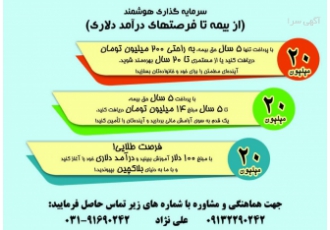 از بیمه تا فرصت های درآمد دلاری