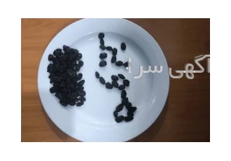 فروش مویز سیاه هسته دار شانی سردشت ✨ فروش ویژه مویز انگور سیاه شانی