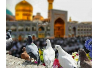 تور مشهد با قطار تور زمینی مشهد با قطار اقامت 2 شب و 3 روز بلیت رفت