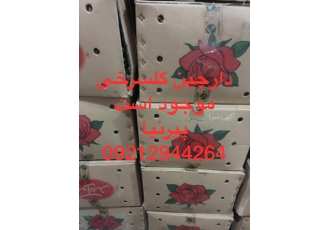 ادویه فلافل و انواع ادویه جات لیست فروش زردچوبه نرم درجه یک زردچوبه نرم