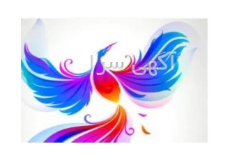 فروشگاه اینترنتی سیمرغ فروشگاه اینترنتی سیمرغ با انواع مواد غذایی