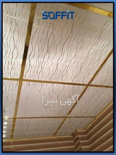 تولیدی قارچ