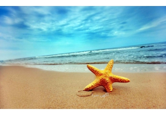 آفر تور کیش آفر تور کیش