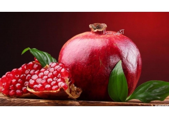 یلدا و جشن ناردون ظفرسیر امیرکبیر واقع در کرج برگزار می نماید برنامه