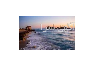 تور جزیره زیبای کیش 4شب و 5روز بلیط رفت و برگشت صبحانه و استقبال