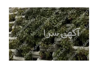 فلاورباکس بتنی گلدان بتنی کاراب در اصفهان فلاورباکس بتنی کاراب بدون