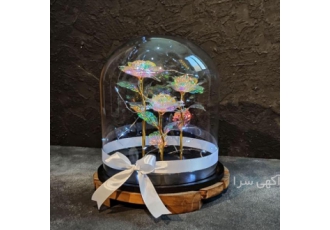گل رز جاودان گلکسی کریستالی و طلایی گل رز جاودان گلکسی کریستالی و طلایی