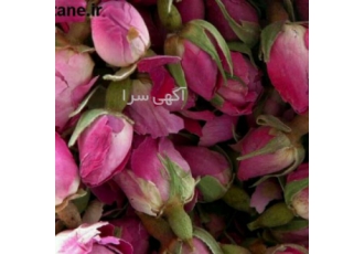 خرید و فروش غنچه گل محمدی خرید و فروش غنچه گل محمدی و گلبرگ گل محمدی