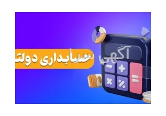 حسابداری دولتی