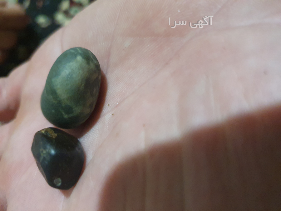 آگهی رایگان زمین