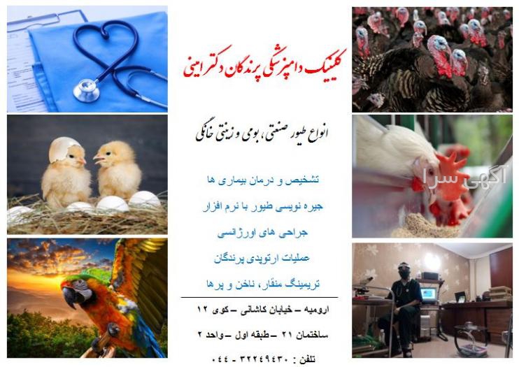 دامپزشکی حمایتی کرج