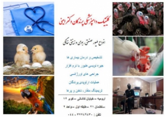 کلینیک دامپزشکی پرندگان دکتر امینی | تشخیص و درمان تخصصی 🐦 🌟 کلینیک