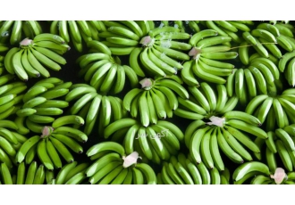 فروش و واگذاری مجوز واردات موز 🍌 | بدون نیاز به رفع تعهد ارزی فرصتی