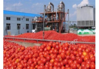 بذر گوجه فرنگی سرین قیمت بذر گوجه فرنگی سرین بذر گوجه فرنگی سرین قیمت