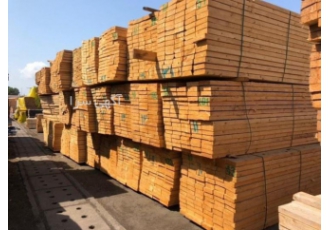 فروش و واردات مستقیم چوب و تخته روسی | بهترین کیفیت و قیمت 🌲 🌟 بازرگانی
