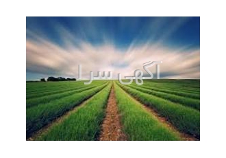 فرصت طلایی: فروش شرکت رتبه ۵ کشاورزی 🌿 | تازه صدور و کاملاً پاک یک فرصت