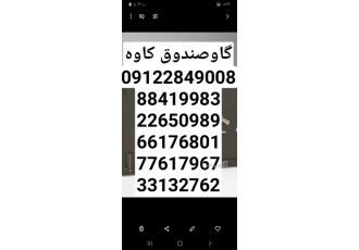 شکستن کلیدگاوصندوق گم کردن گم شدن کلیدگاوصندوق دیگرنگران گم شدن وشکستن